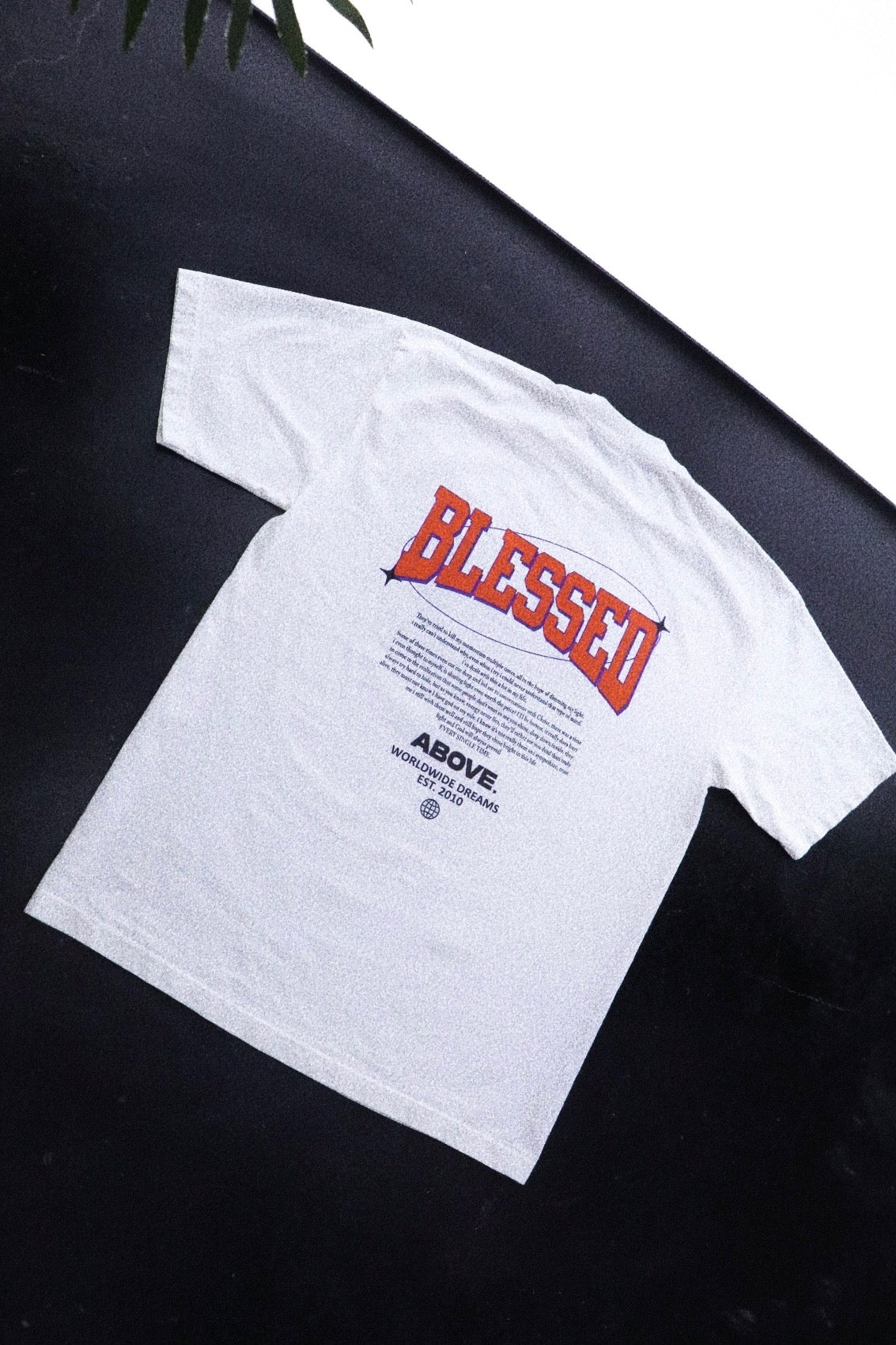 🚨8 LEFT- BLESSED. 🙏✨HEAVYWEIGHT