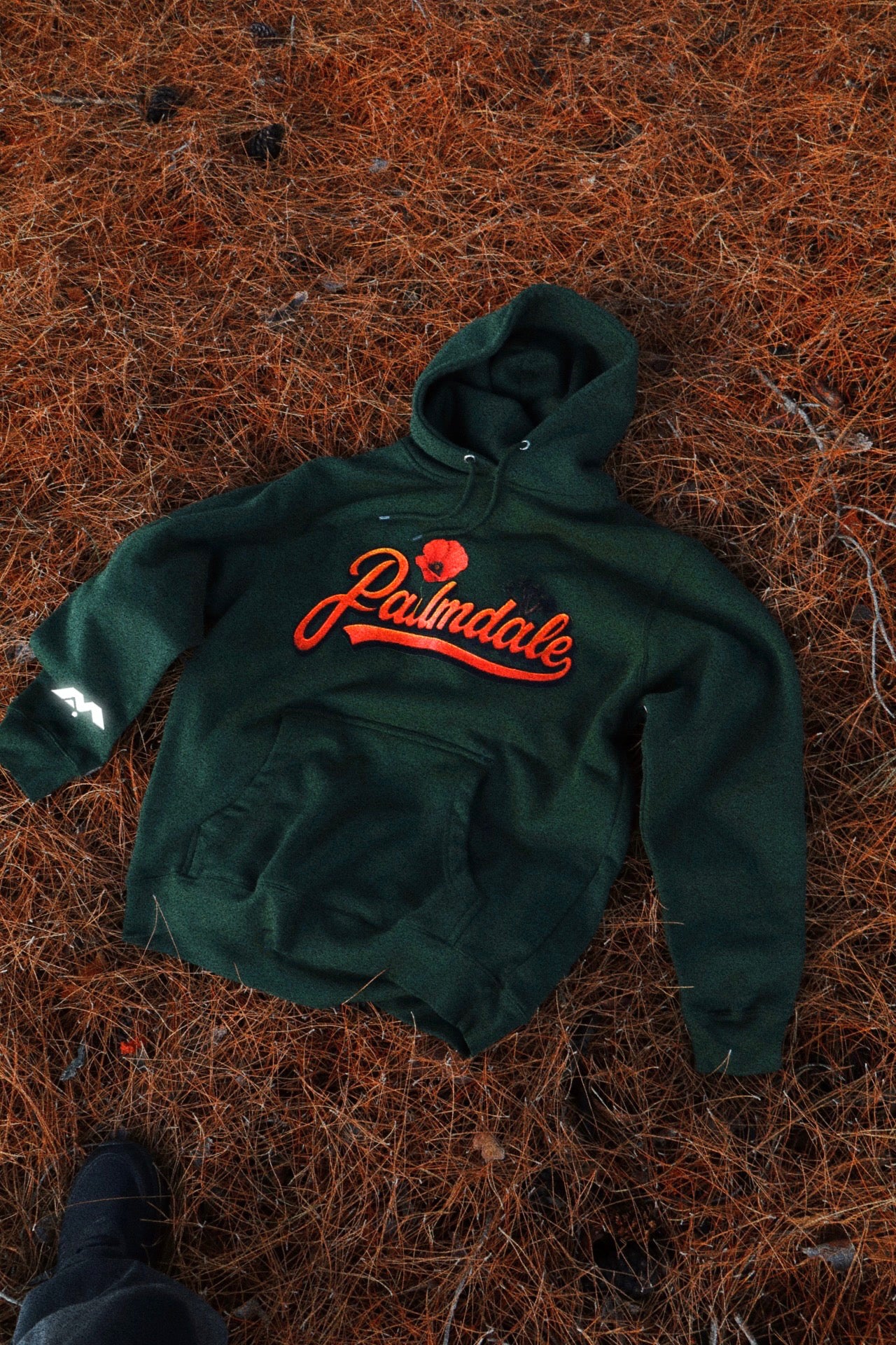 PALMDALE, COME BACK TO ME 🧡🎶✨ HOODIE