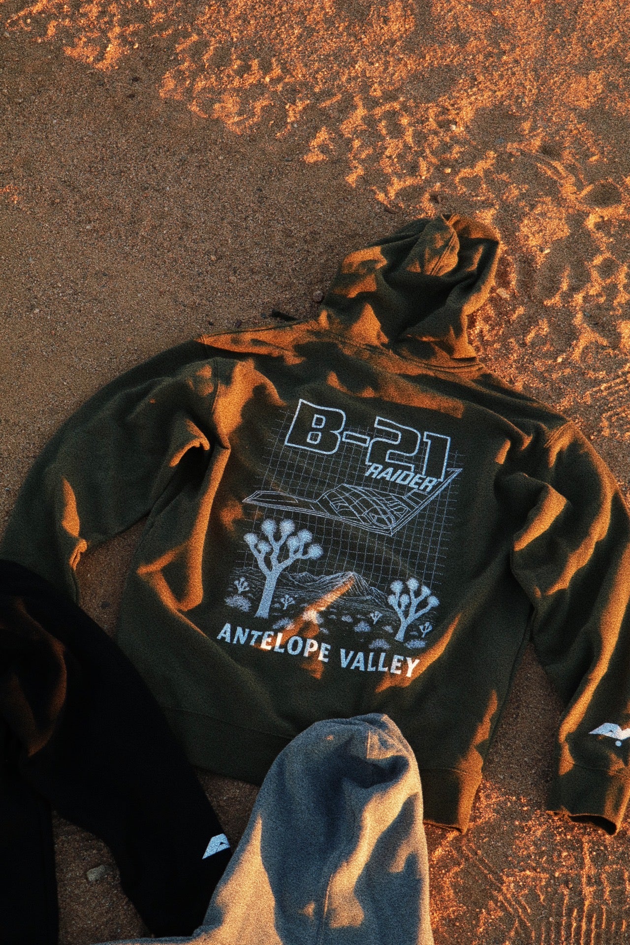 THE BLUEPRINT. (B-21)