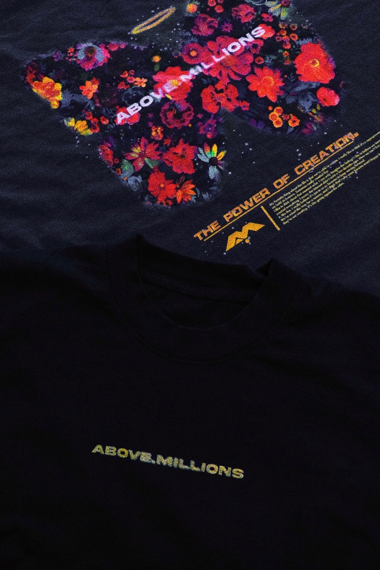 (SPECIAL EDITION) CONCEPCIÓN. 🦋💐✨