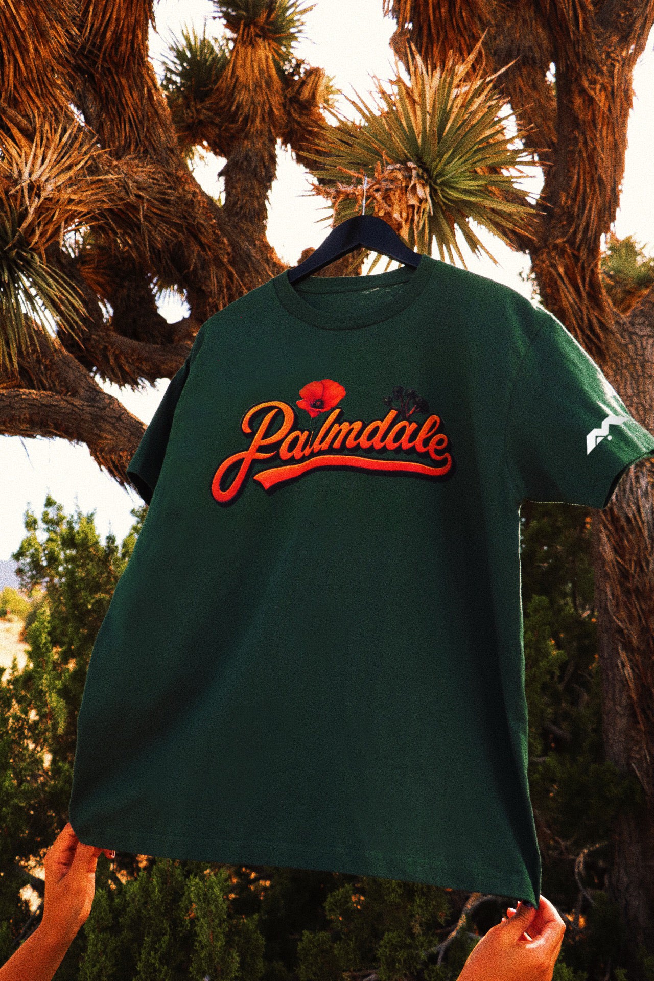 PALMDALE, COME BACK TO ME 🧡🎶✨