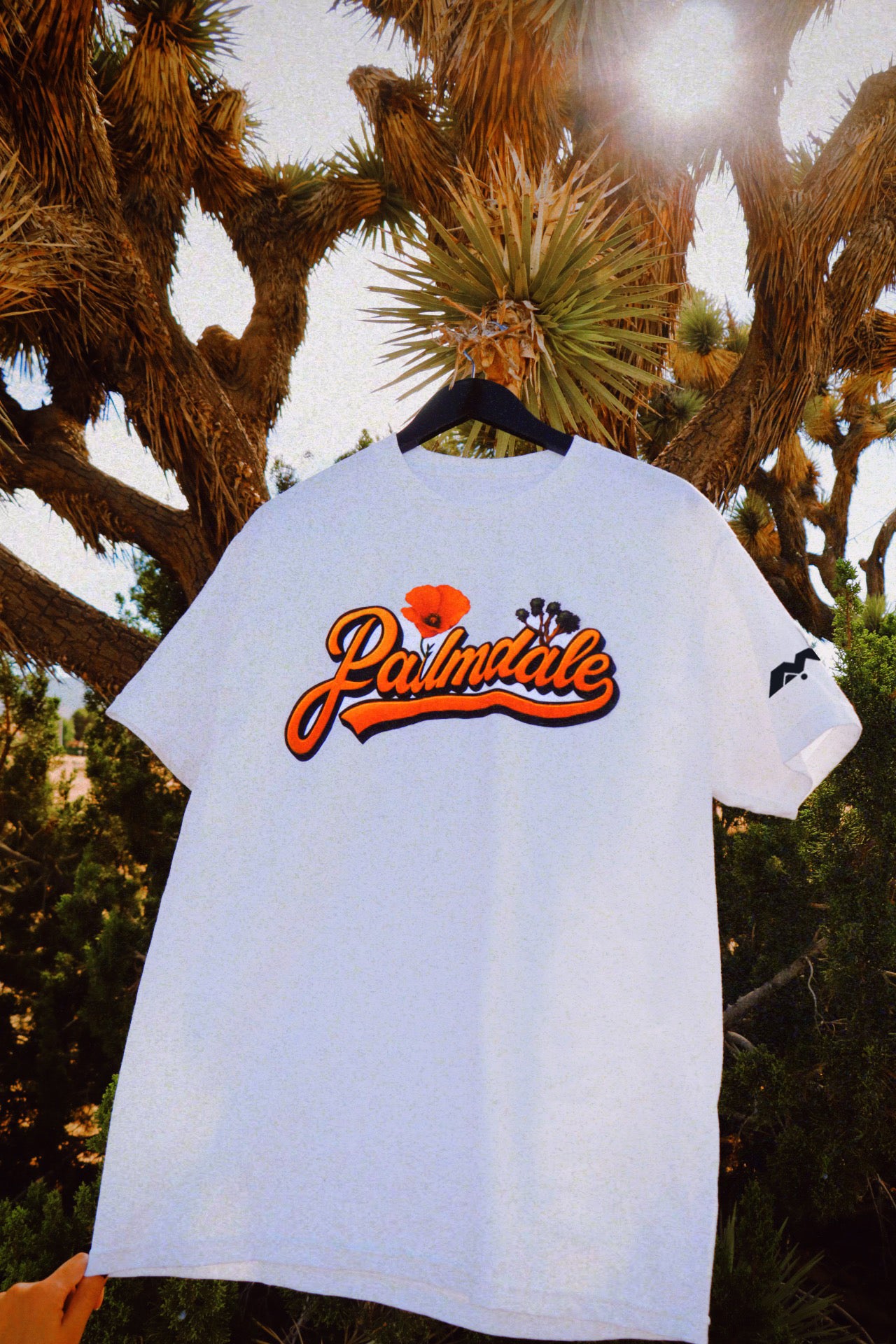 PALMDALE, COME BACK TO ME 🧡🎶✨