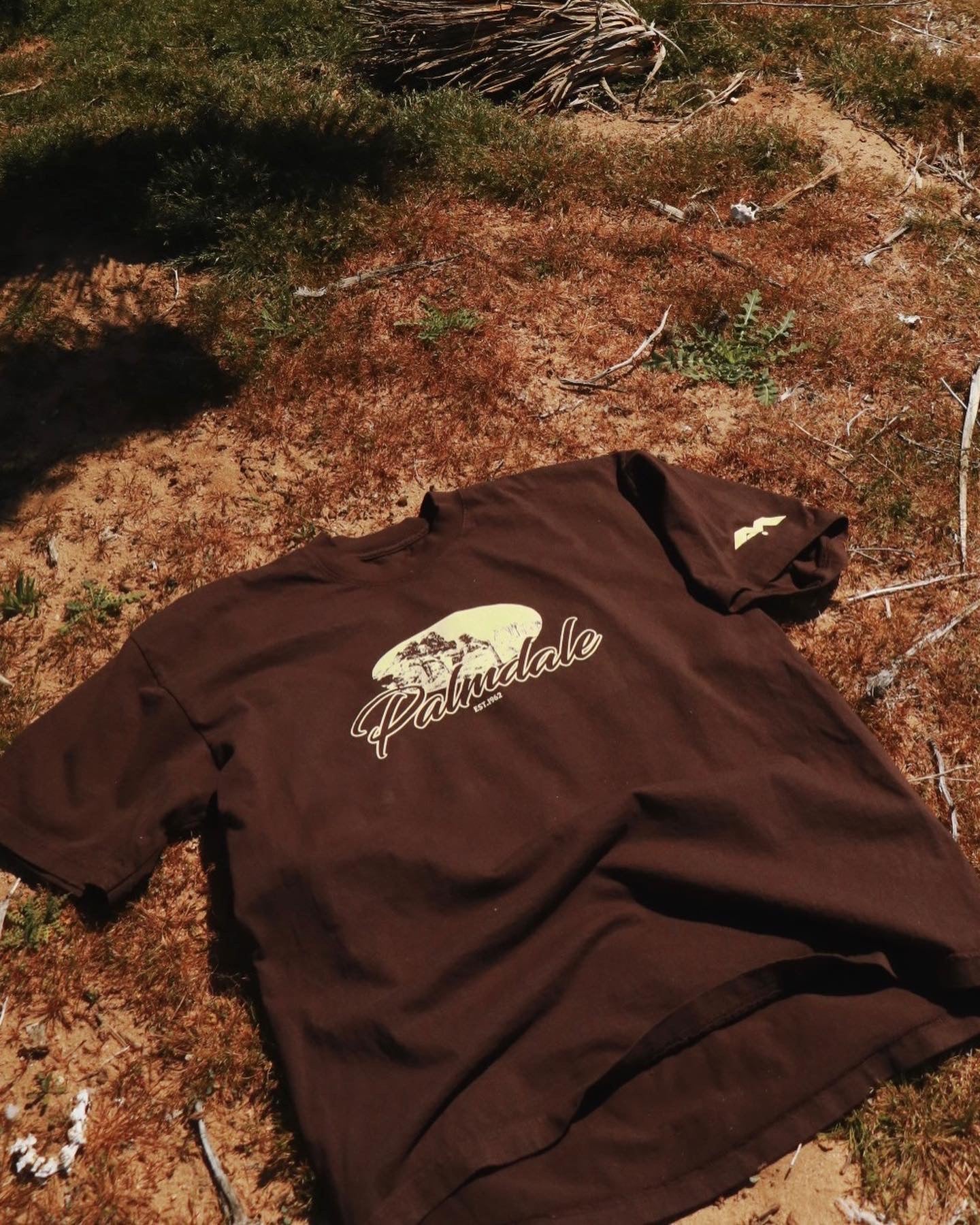 🚨2 LEFT- PALMDALE HEAVYWEIGHT T-SHIRT