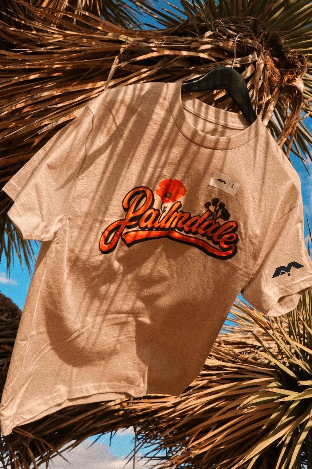 PALMDALE, COME BACK TO ME 🧡🎶✨