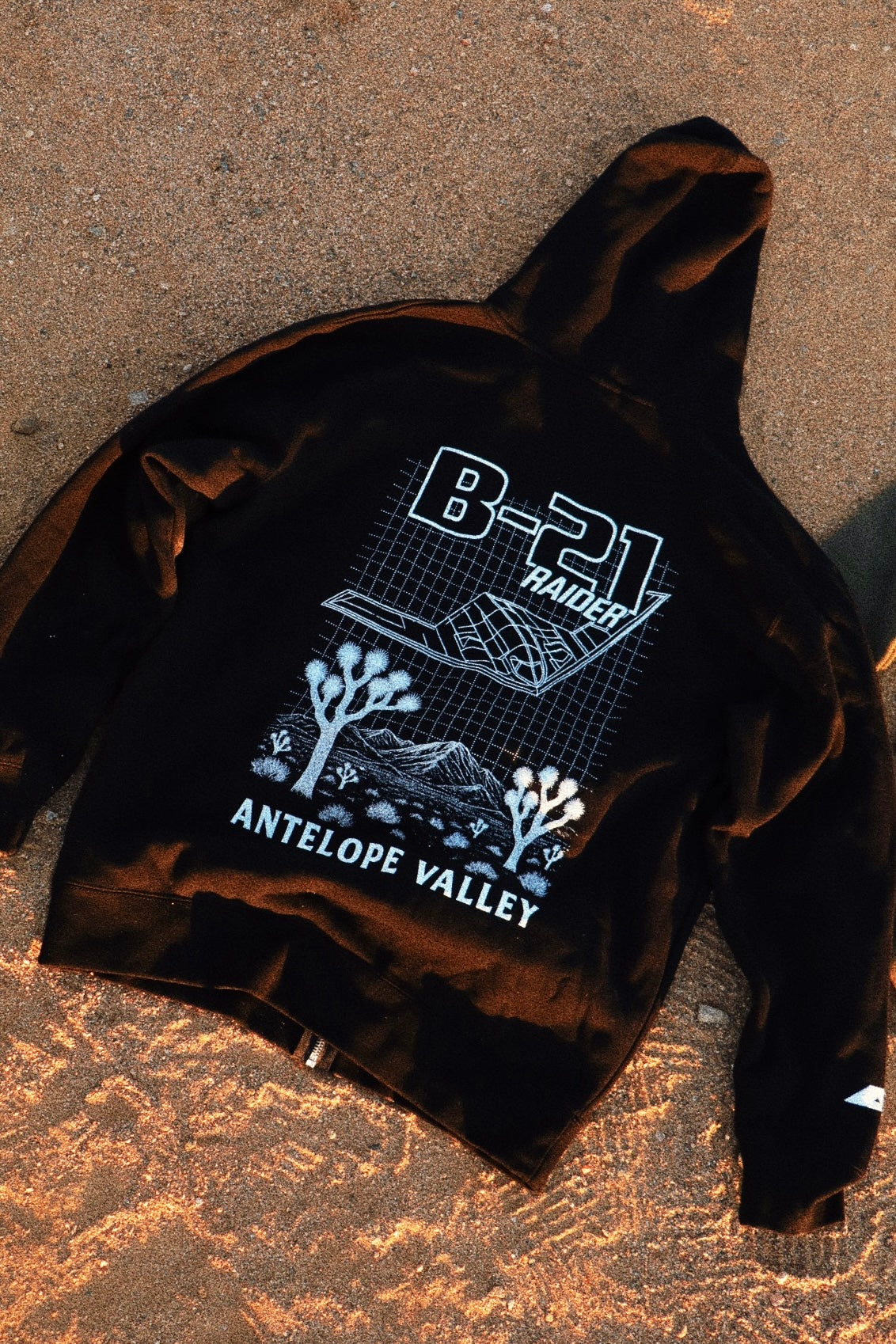 THE BLUEPRINT. (B-21)