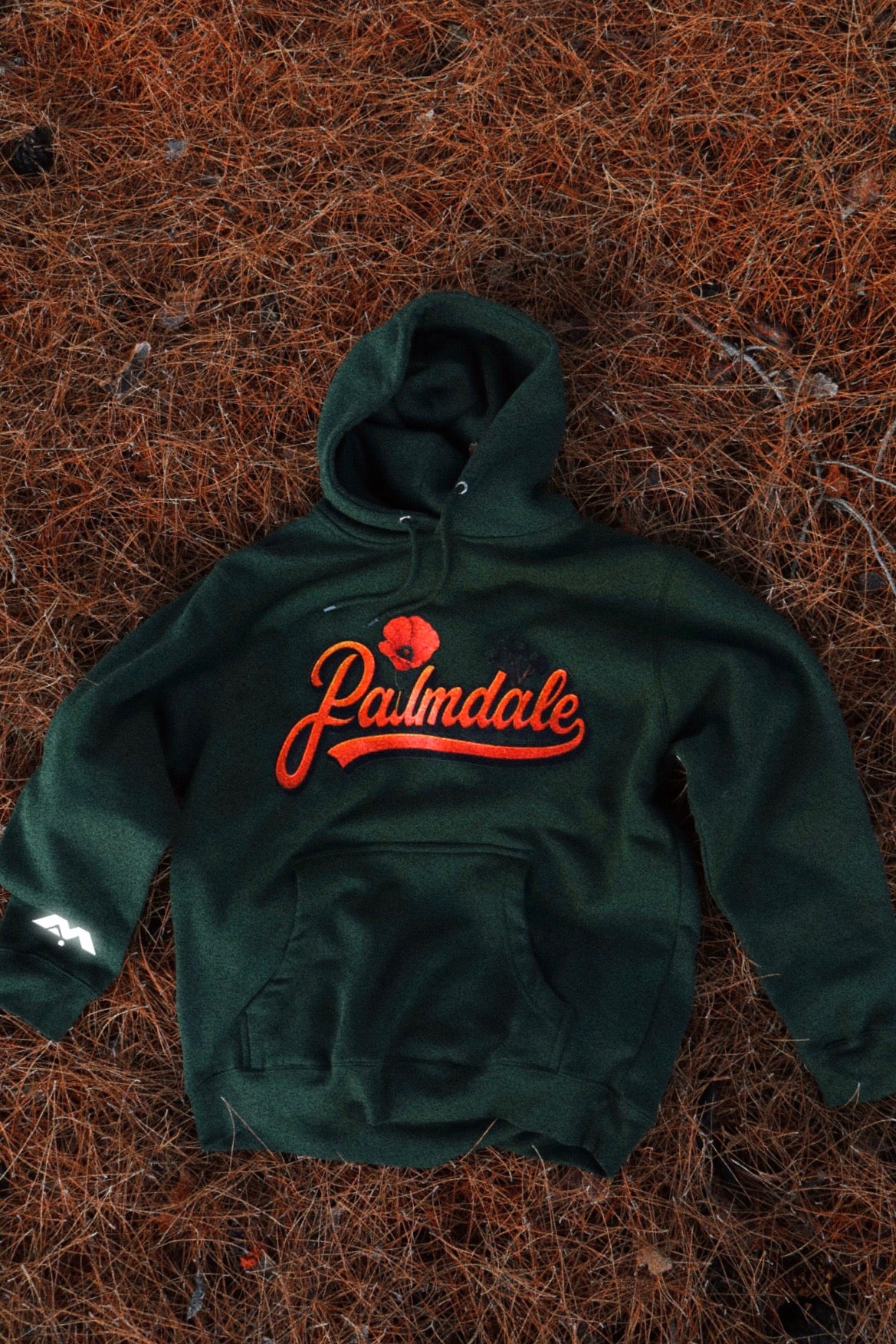PALMDALE, COME BACK TO ME 🧡🎶✨ HOODIE