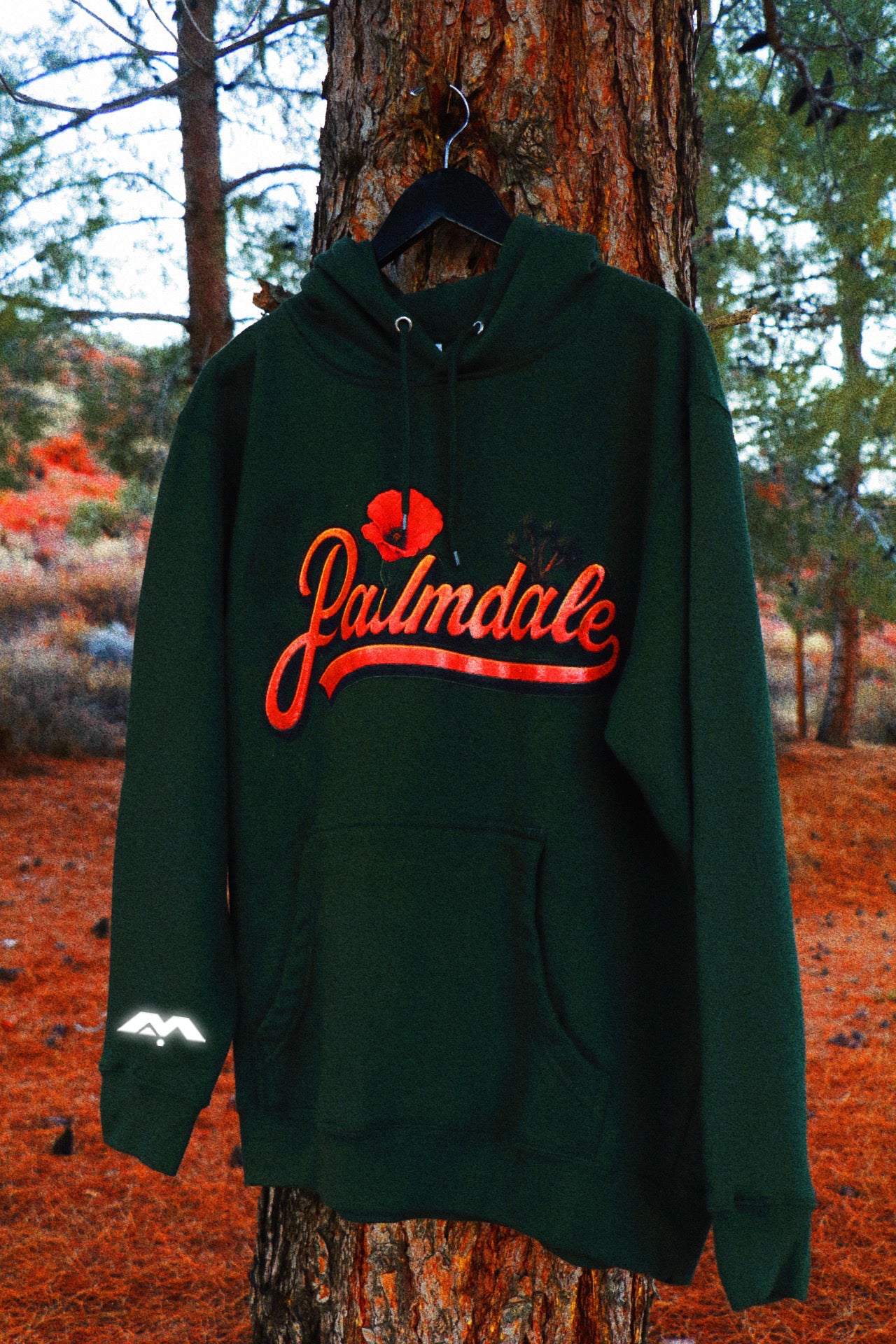 PALMDALE, COME BACK TO ME 🧡🎶✨ HOODIE