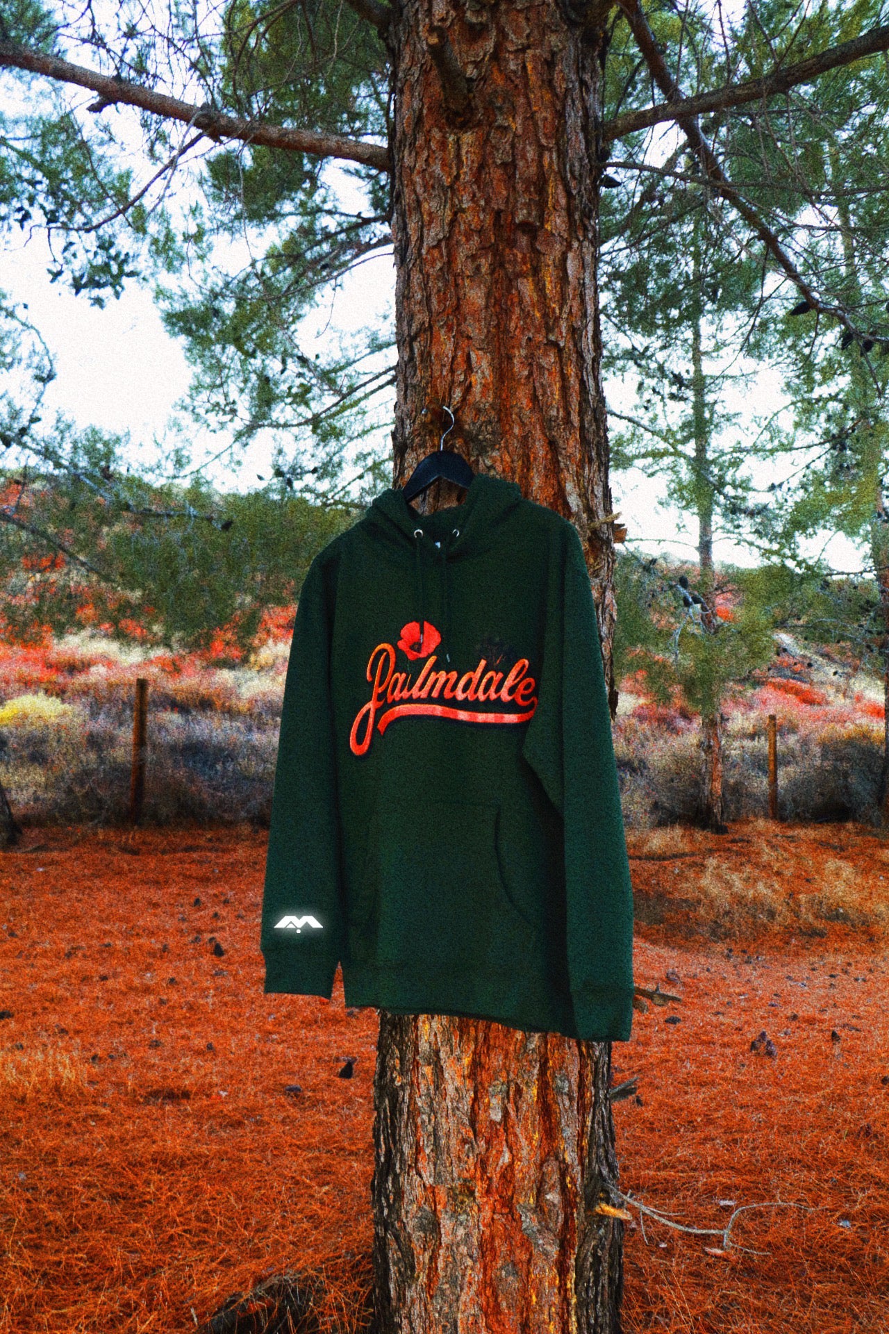 PALMDALE, COME BACK TO ME 🧡🎶✨ HOODIE