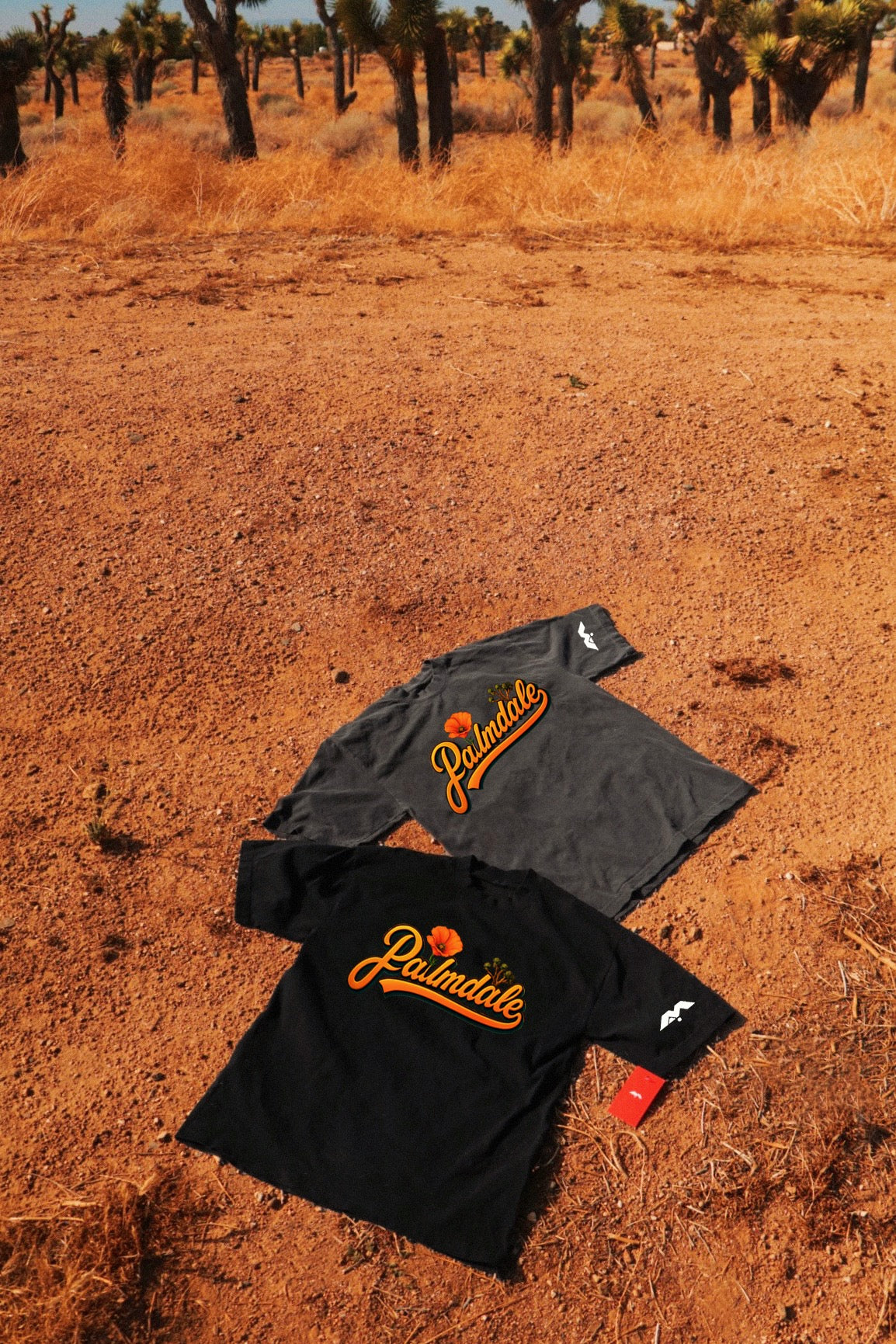 PALMDALE, COME BACK TO ME 🧡🎶✨