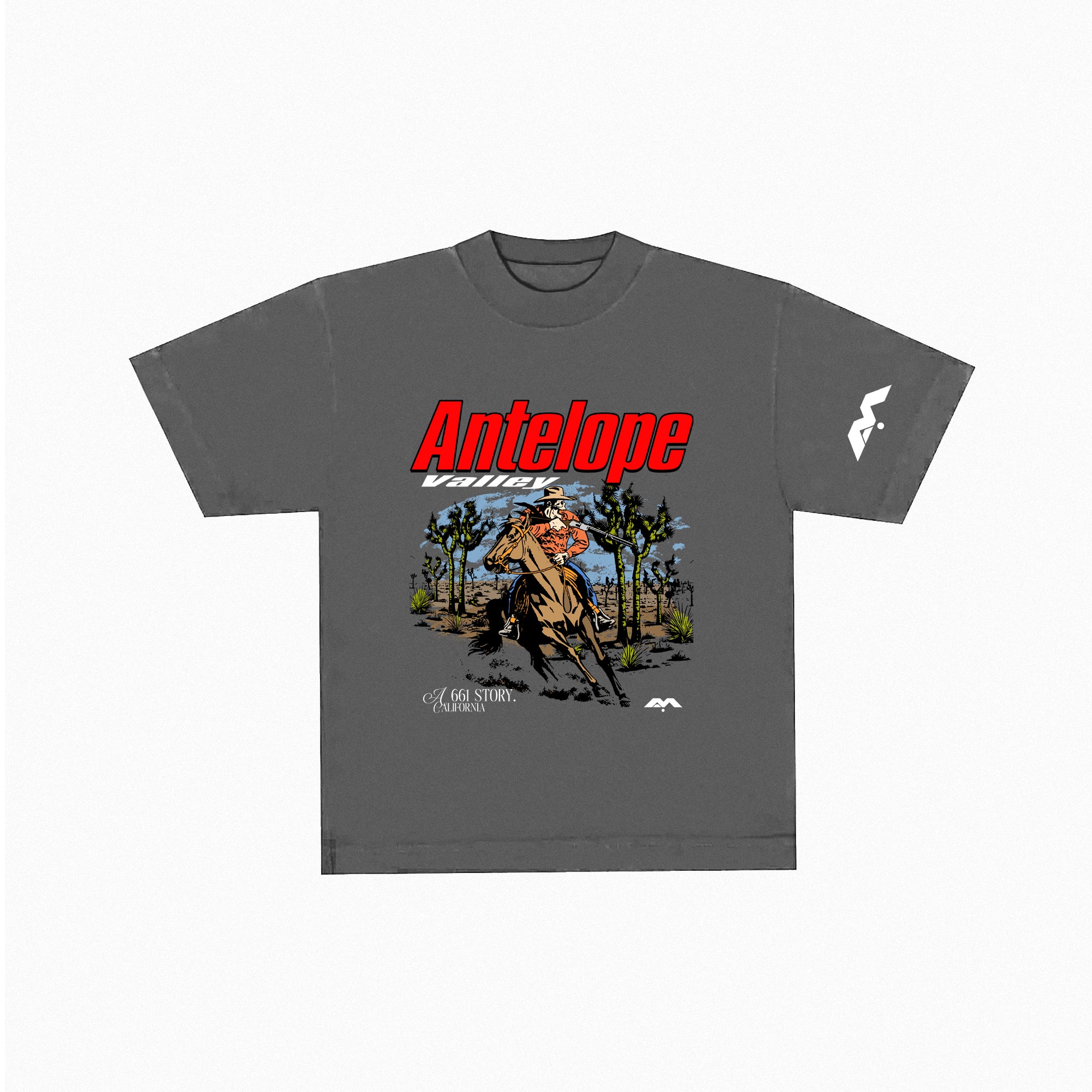A 661 STORY.📕 HEAVYWEIGHT T-SHIRTS