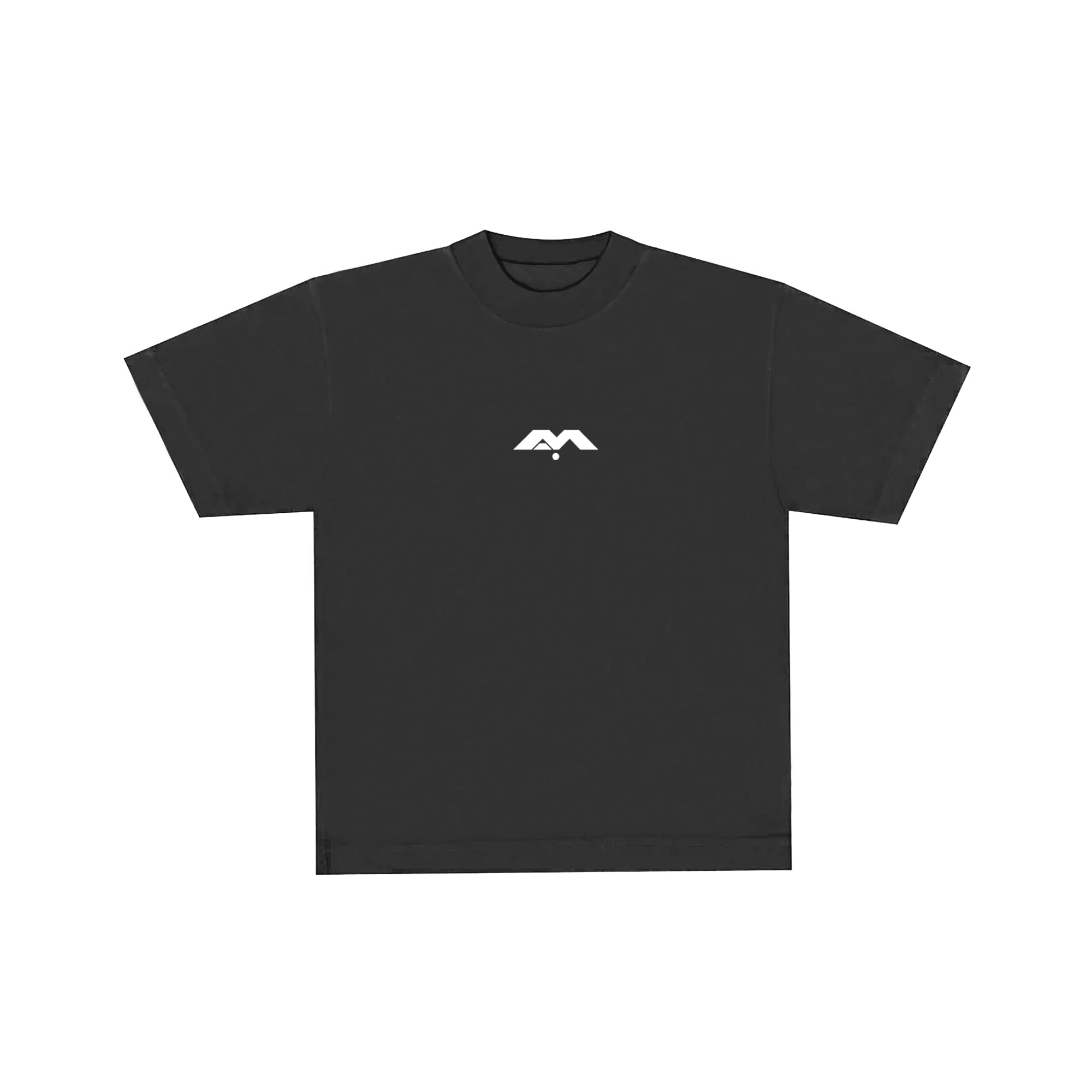YOUR SUPERPOWER✨ HEAVYWEIGHT T-SHIRT