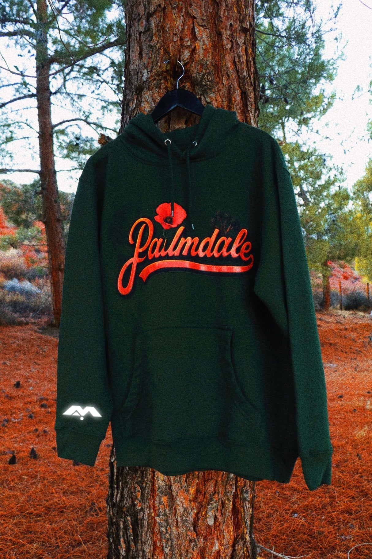 PALMDALE, COME BACK TO ME 🧡🎶✨ HOODIE