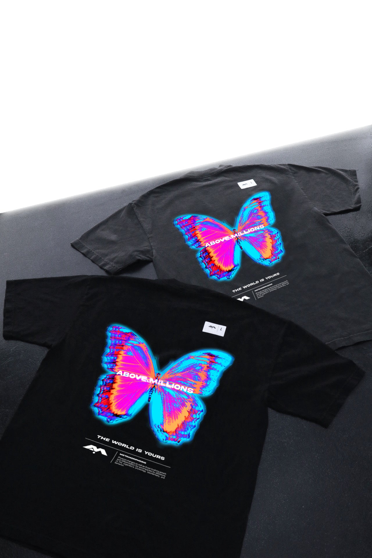 METAMORPHOSIS 🦋✨