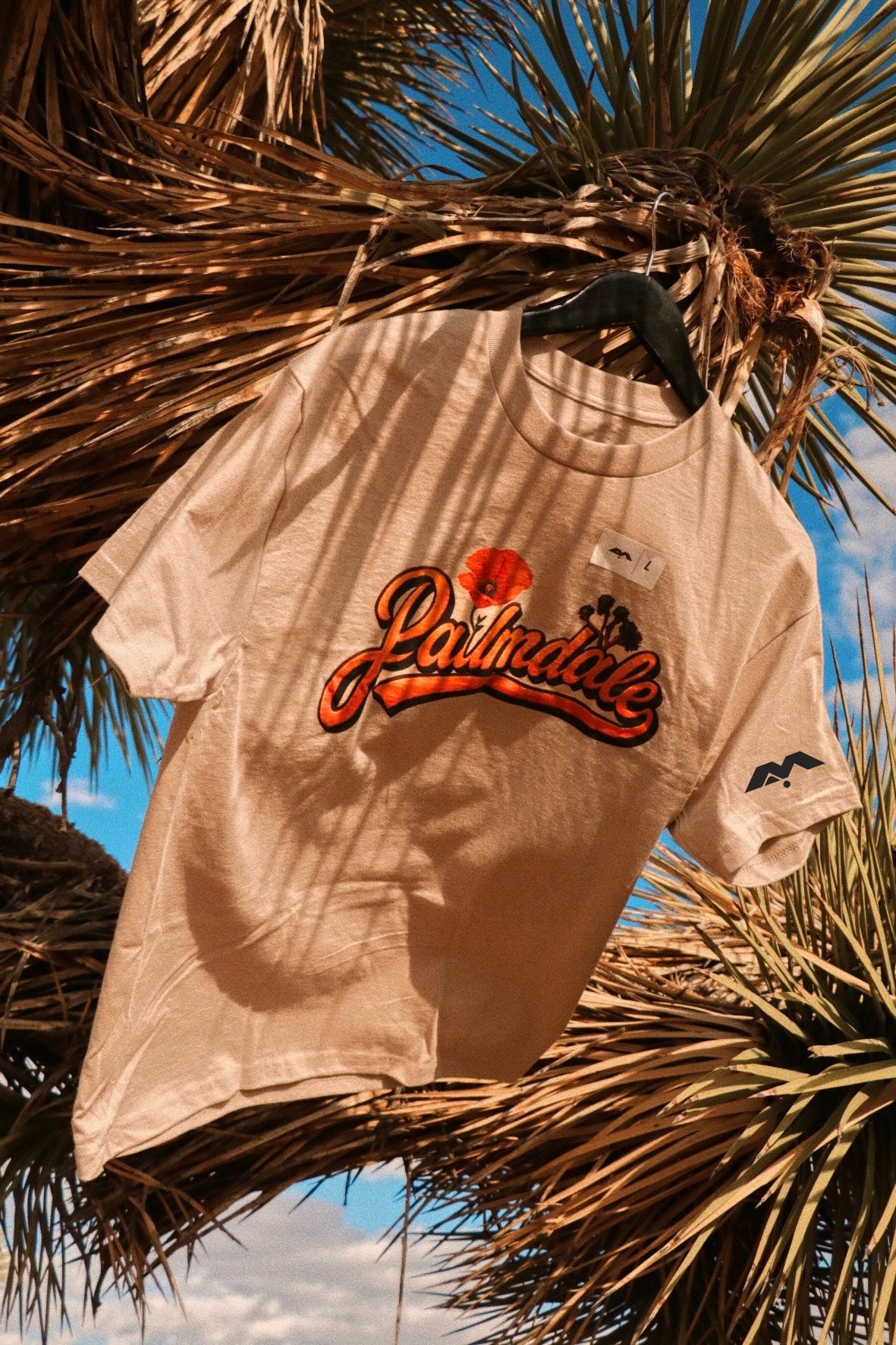 PALMDALE, COME BACK TO ME 🧡🎶✨