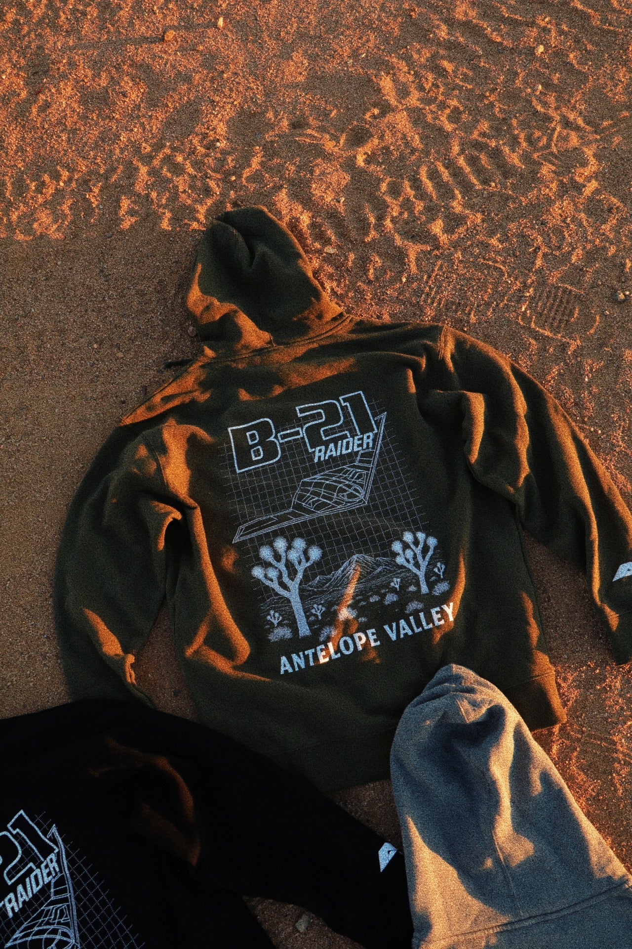 THE BLUEPRINT. (B-21)