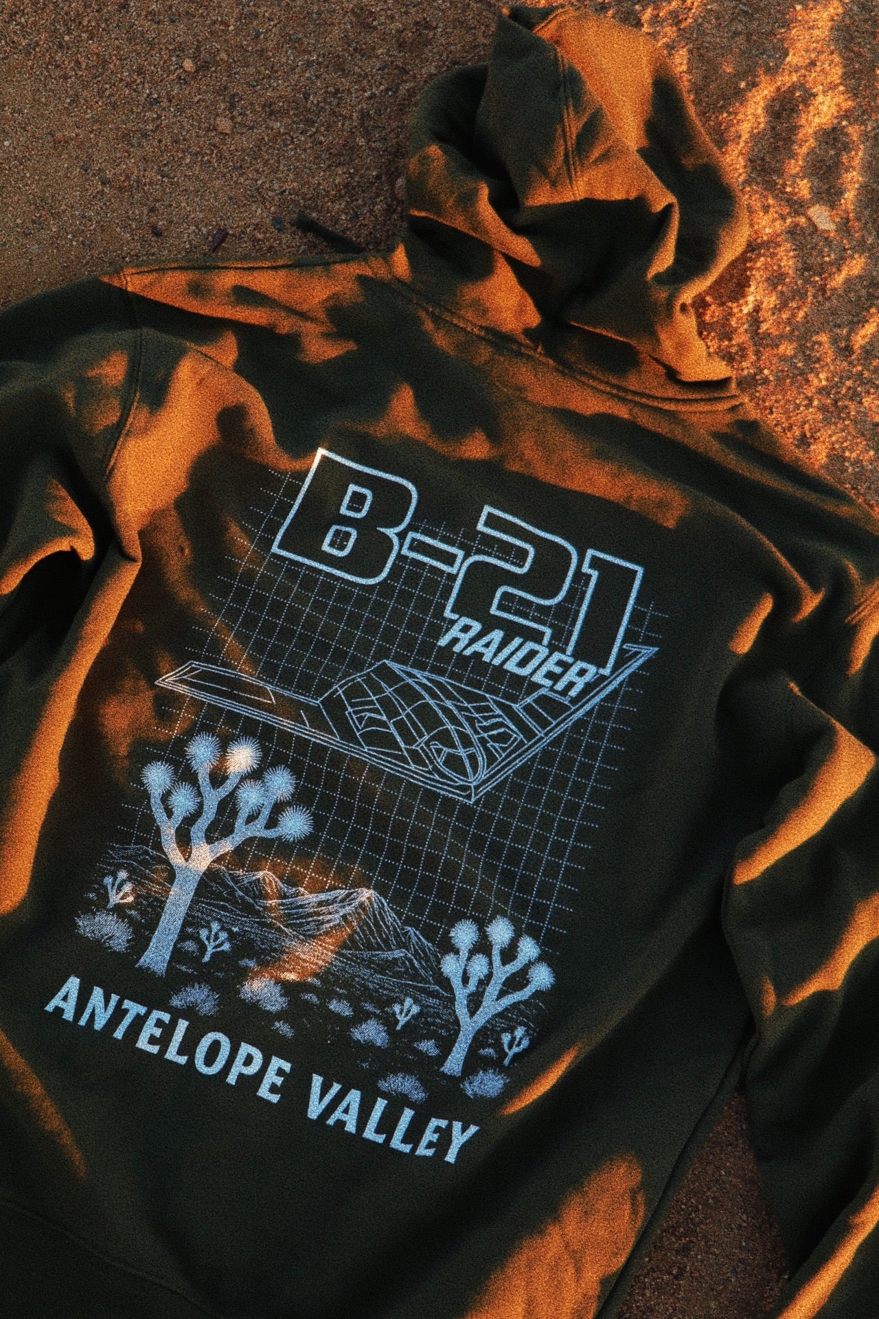 THE BLUEPRINT. (B-21)