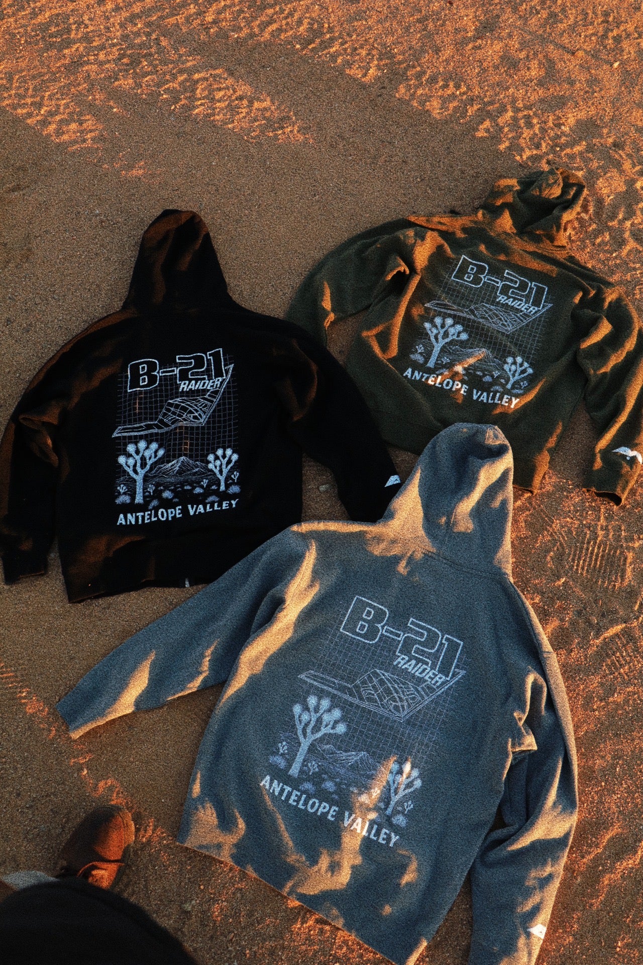 THE BLUEPRINT. (B-21)