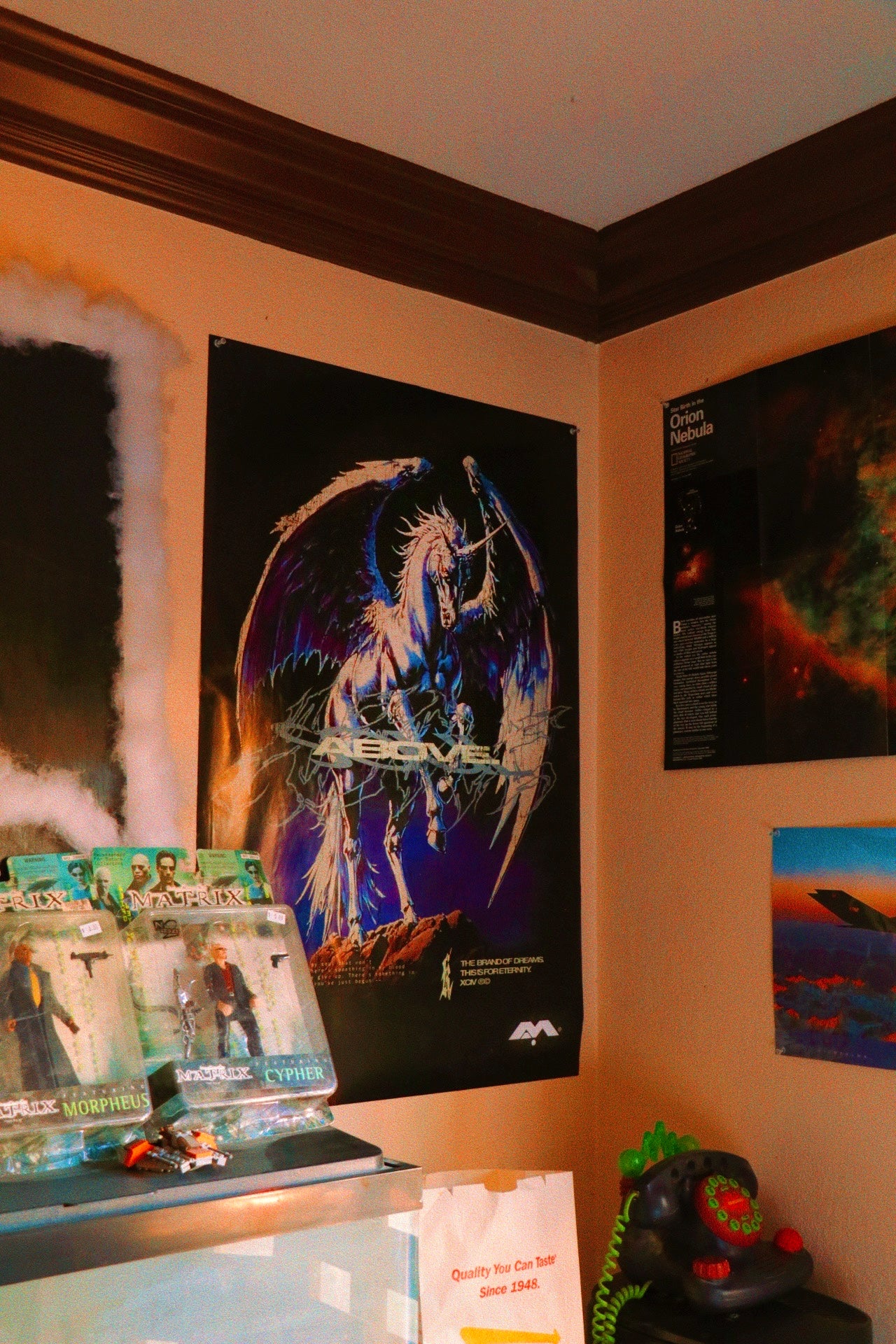 🚨PROMO CODE NOT VALID🚨 OUR FIRST POSTER. 24" X 36"