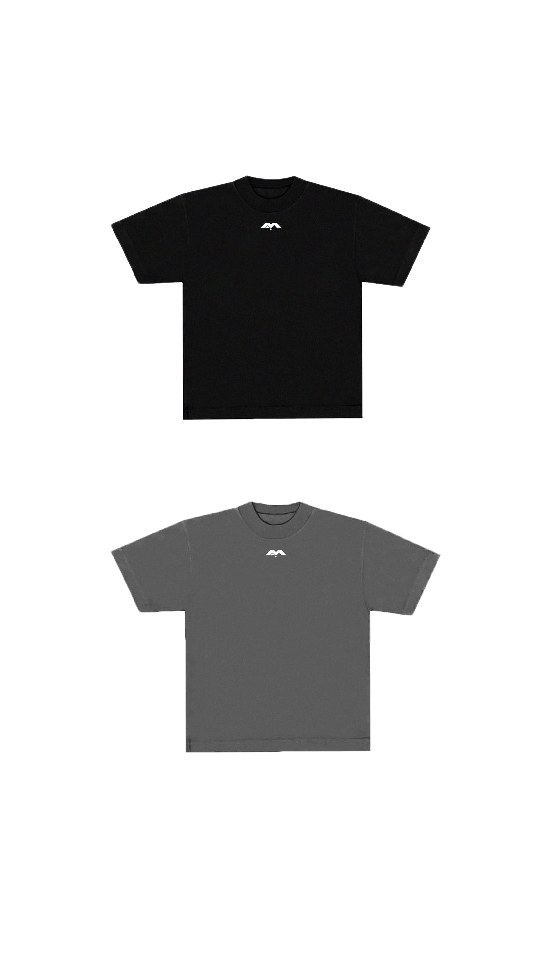 BASICS.