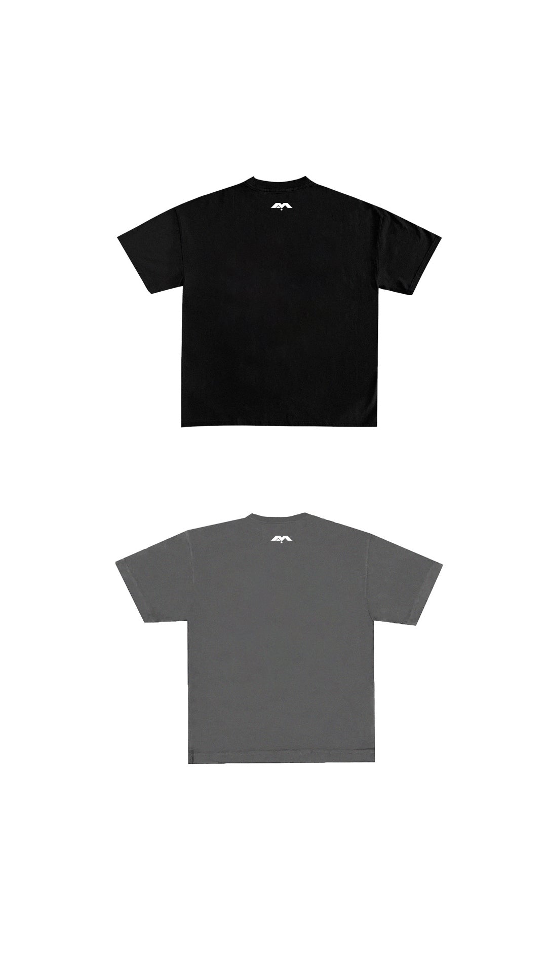 BASICS.